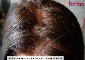 Pasul 2 Vopsirea parului alb cu Henna Mandala Castaniu Inchis