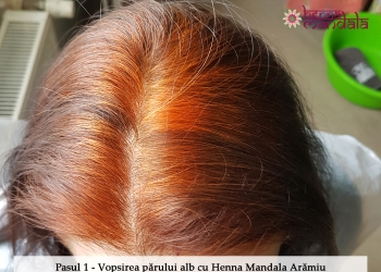 Pasul_1_Vopsirea naturala a parului alb cu Henna Mandala Aramiu