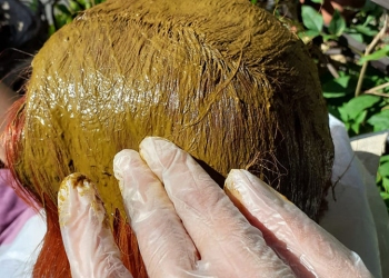Aplicare-pe-par-vopsea-naturală-Henna-Mandala-min
