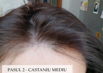 Oana-vopsire-par-2-pasi-dupa-Henna-Mandala-Castaniu-Mediu