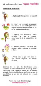Instrucțiuni de folosire Henna Mandala