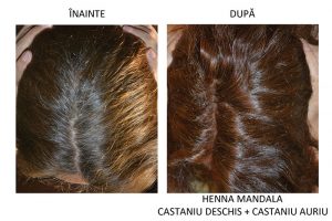 Experiența Elenei cu Henna Mandala Castaniu Deschis + Castaniu Auriu