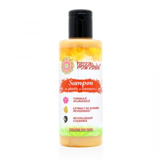 Sampon ayurvedic cu ghimbir