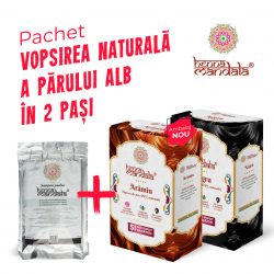 Pachet vopsirea parului in 2 pasi