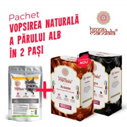 vopsea henna si sampon pudra ayurvedic