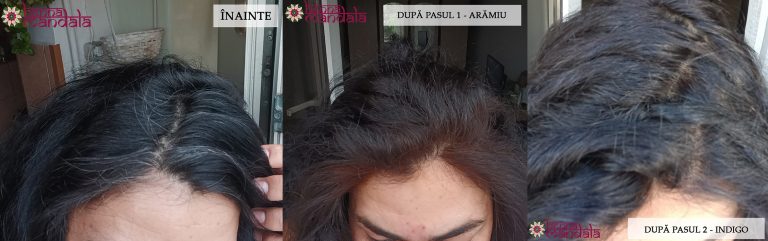 Par vopsit in 2 pasi cu Henna Mandala Aramiu si Indigo