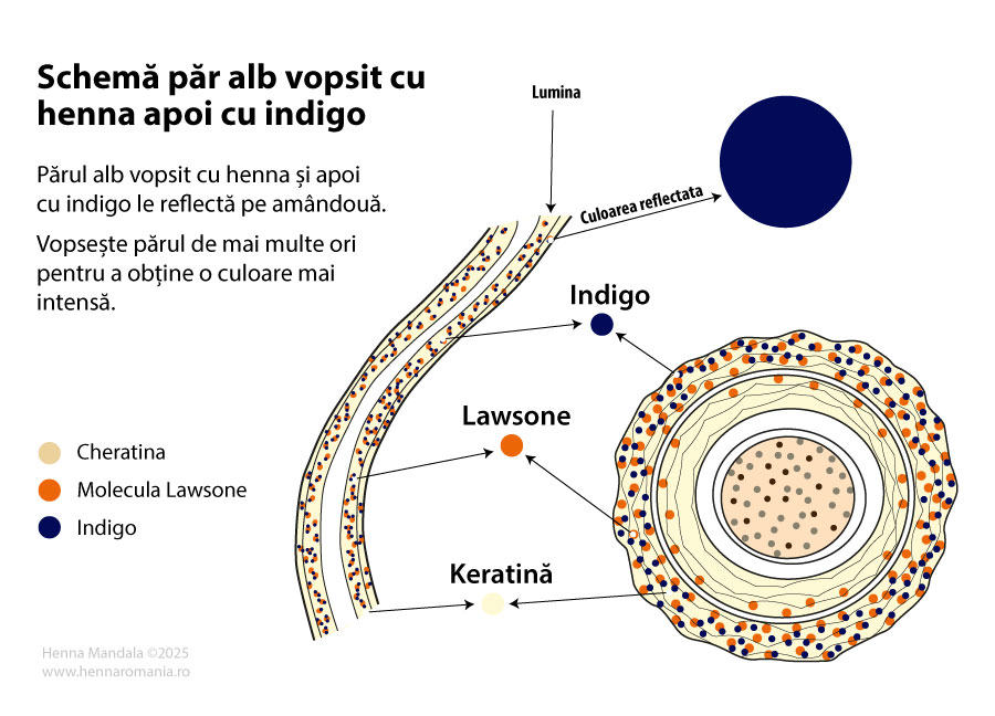 Cum vopseste indigo parul